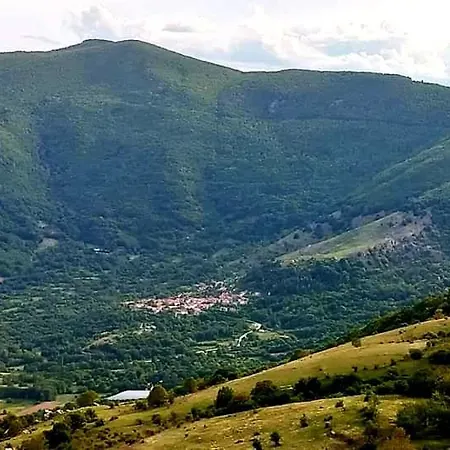 Natsi * Asprogia