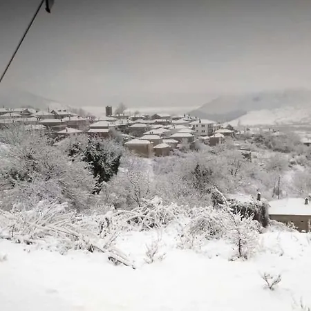 فيلة Natsi Asprogia