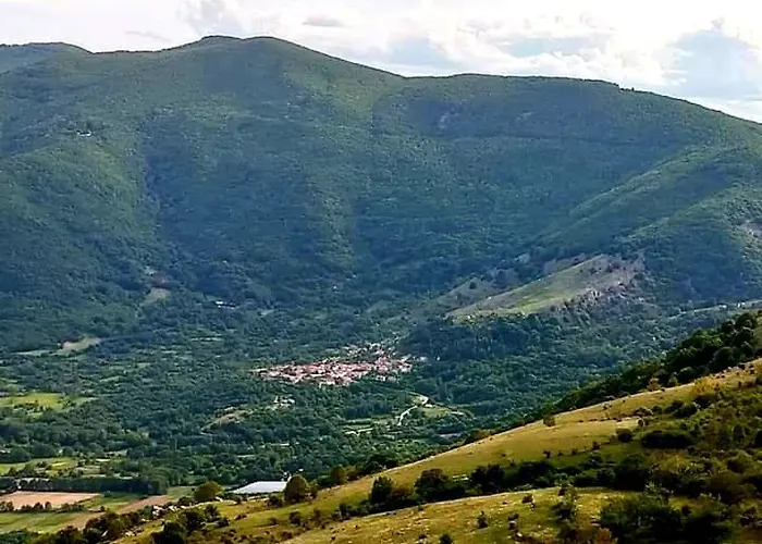 Natsi * Asprogia